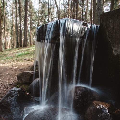 Photo #6839296