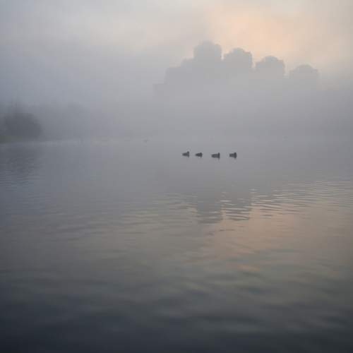 Фотография #6839427