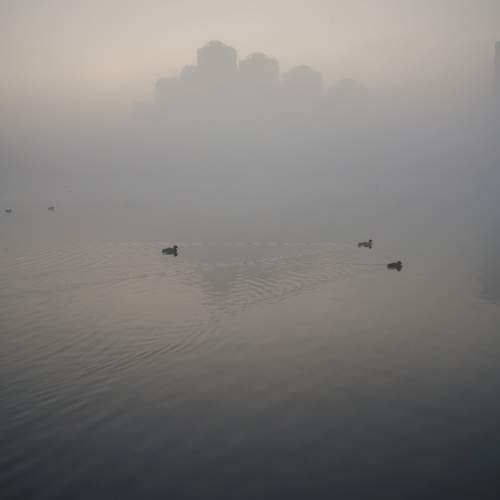 Фотография #6839493