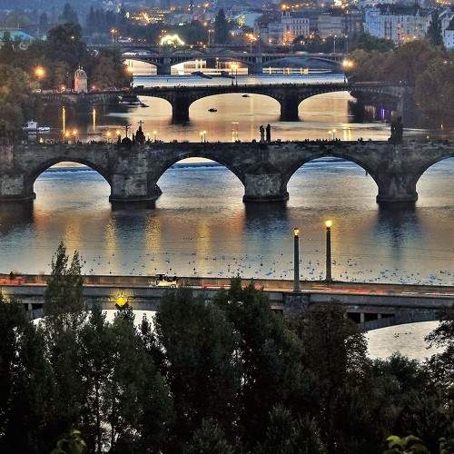 Photo #6839510