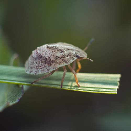 Photo #6840735