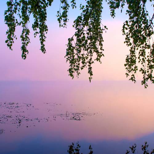 Photo #6840825