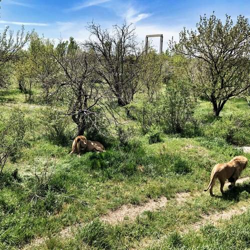 Photo #6841014