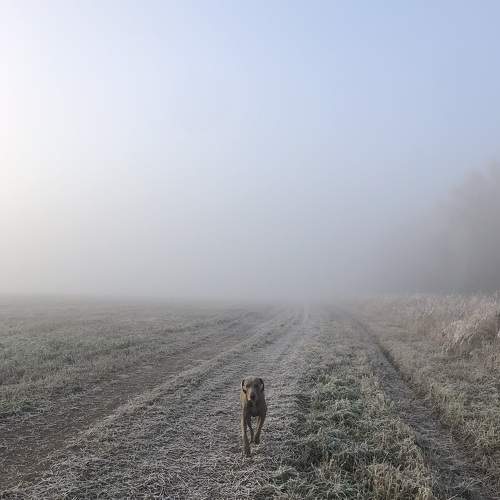 Photo #6841203