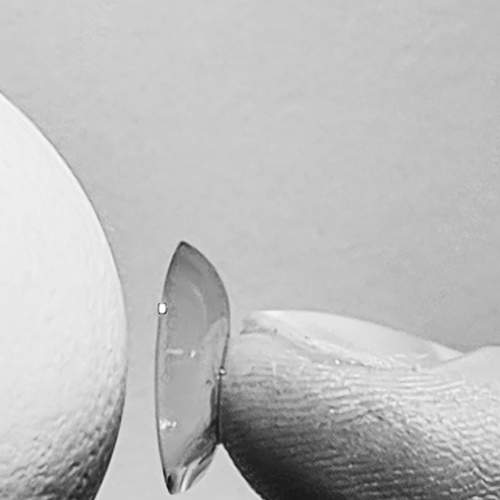 Photo #6841227