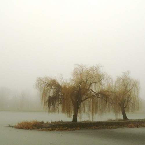 Photo #6841294