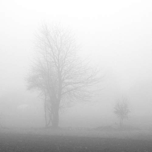 Photo #6841318