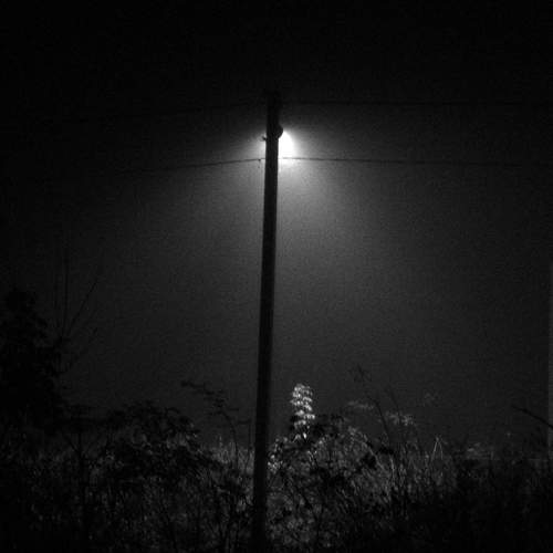 Photo #6841399
