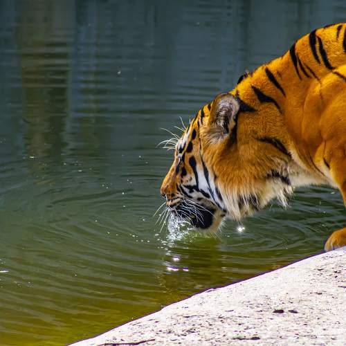 Photo #6841437