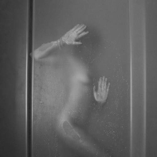 Photo #6841518