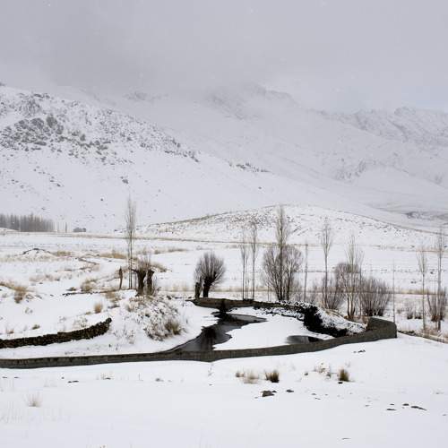 Photo #6841579