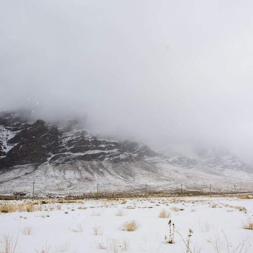 Photo #6841606
