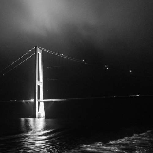 Photo #6841879