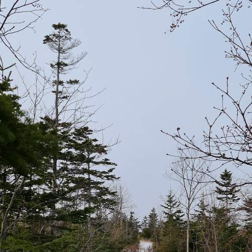 Photo #6842134