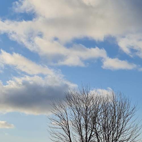 Photo #6842137