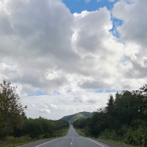Photo #6842139