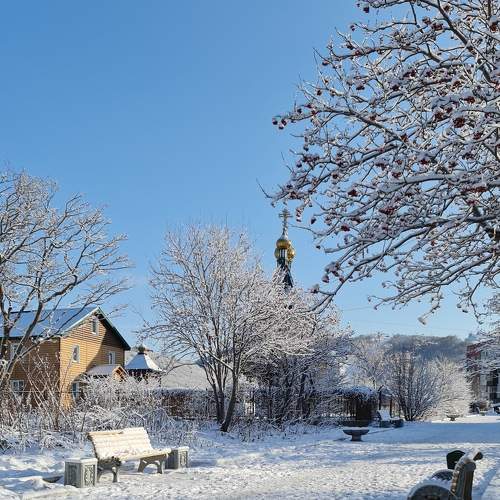 Photo #6842141
