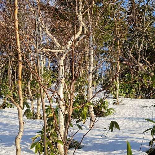 Photo #6842142