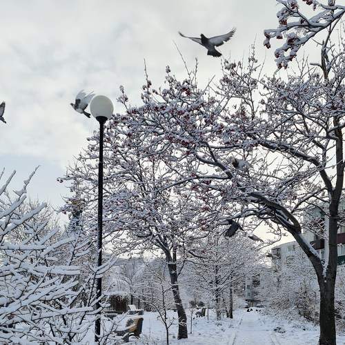 Photo #6842156