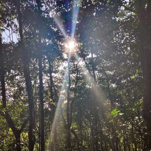Photo #6842242