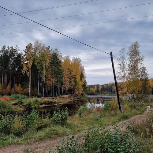 Photo #6842279
