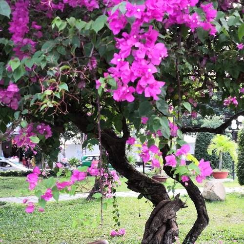 Photo #6842512