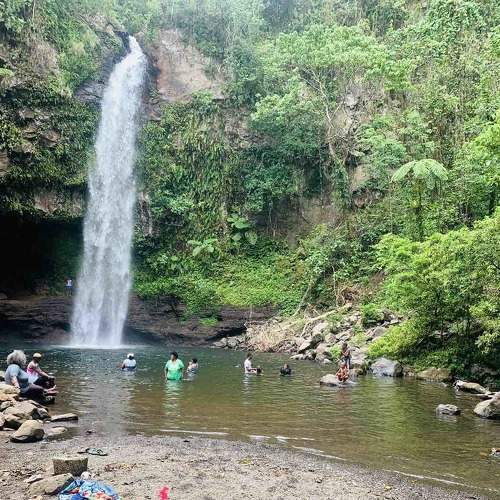 Photo #6842637