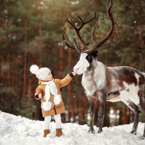 Девочка с оленем.