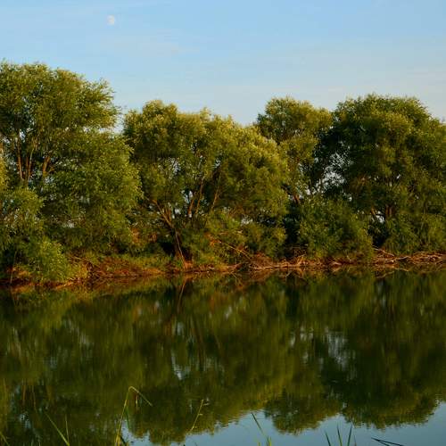 Photo #6842831
