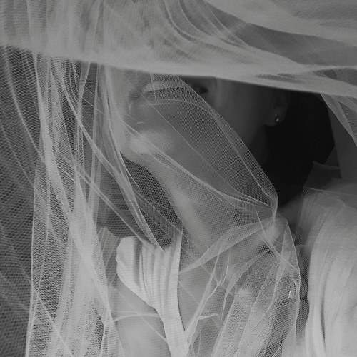Photo #6843065