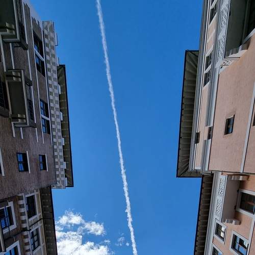 Photo #6843130