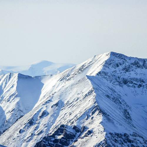 Photo #6843226