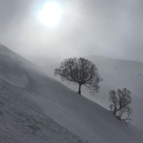 Photo #6843806