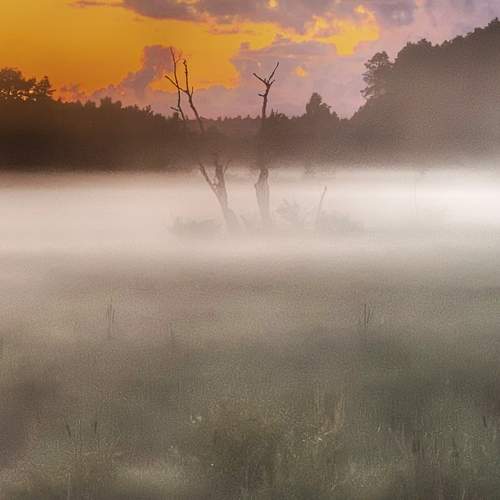 Photo #6843807