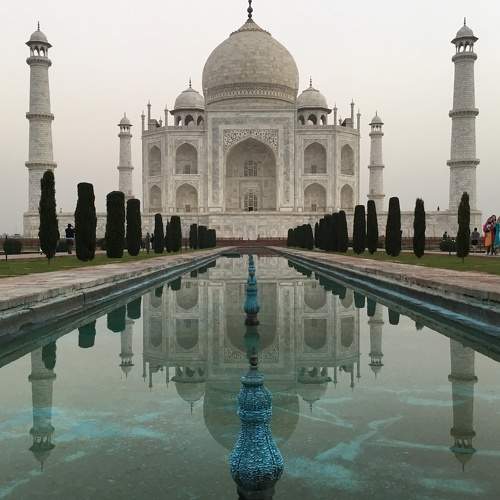 Photo #6843817