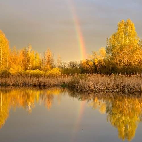 Photo #6843818