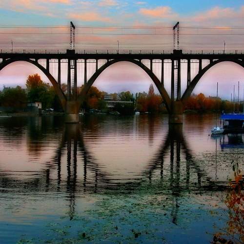 Photo #6844120