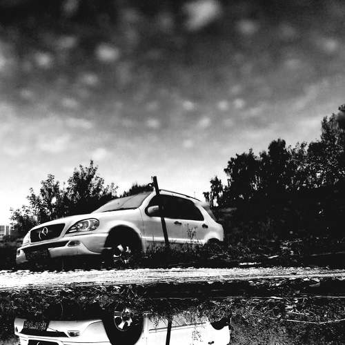 Photo #6844161