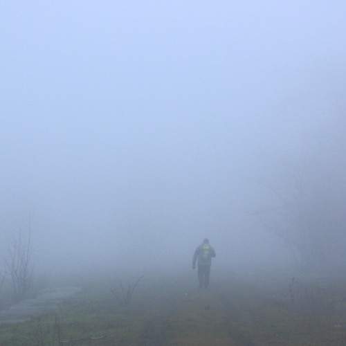 Photo #6844165