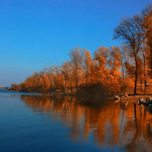 Photo #6844222