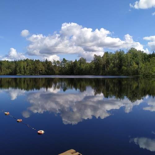 Photo #6844483