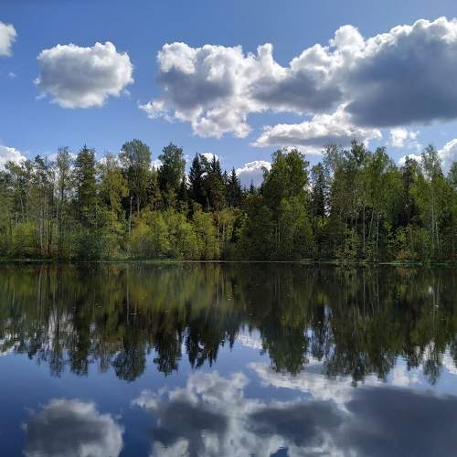 Photo #6844484