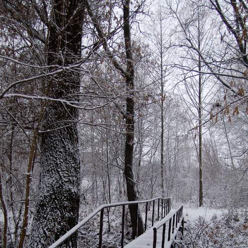 Photo #6844648