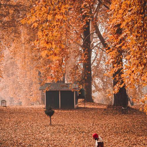 Photo #6844897