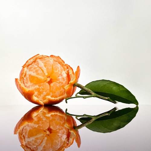 Photo #6845122