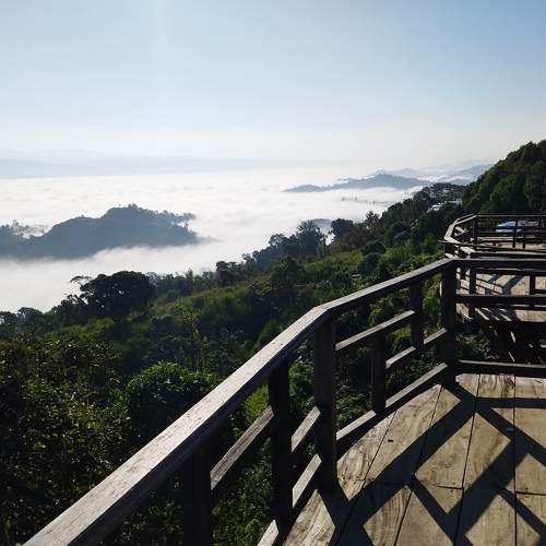 Photo #6845174