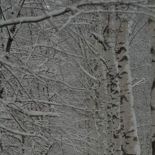 Photo #6845209