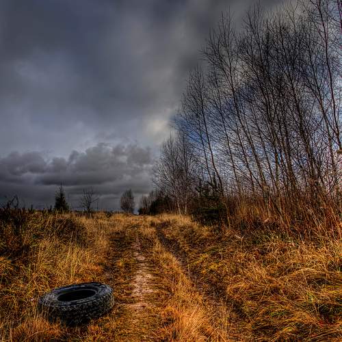 Photo #6845469