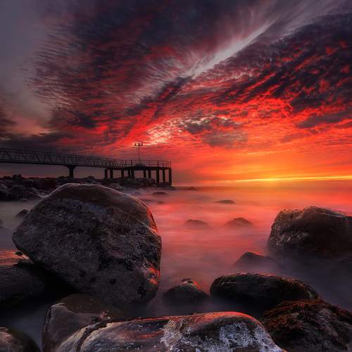 Photo #6845834