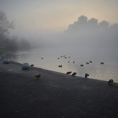 Фотография #6846008